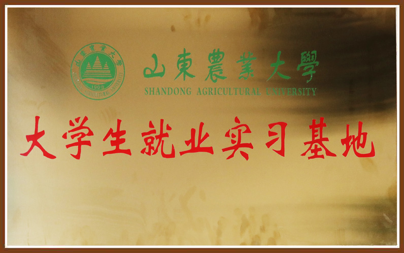 Ag亚洲集团(中国游)官方网站