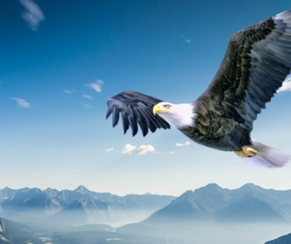 Ag亚洲集团(中国游)官方网站