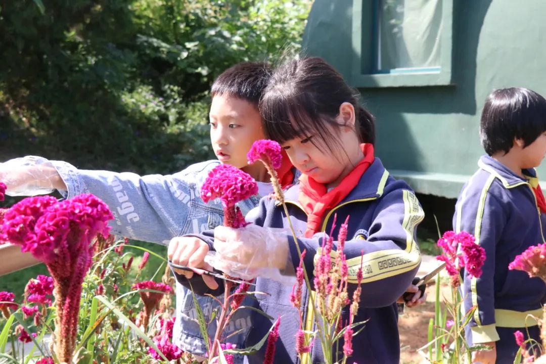 Ag亚洲集团(中国游)官方网站