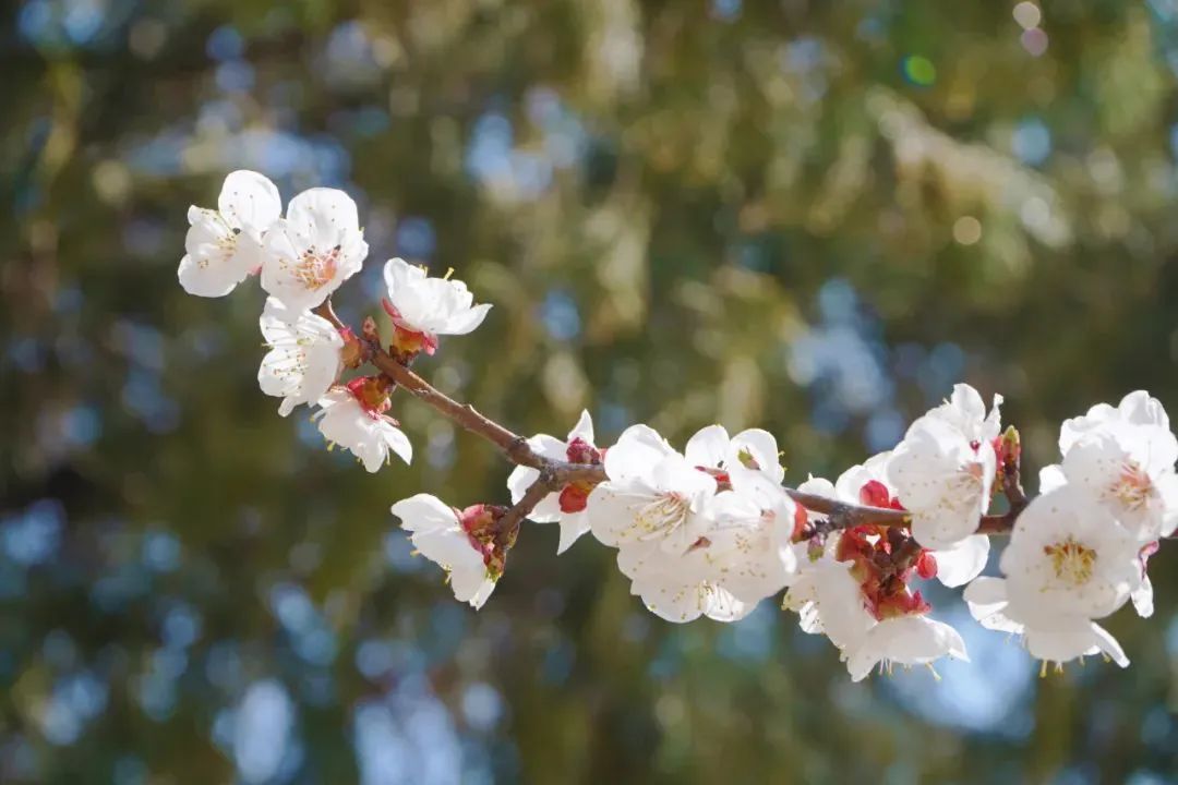 Ag亚洲集团(中国游)官方网站