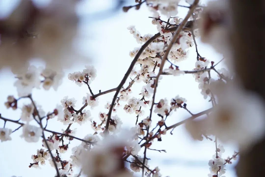 Ag亚洲集团(中国游)官方网站