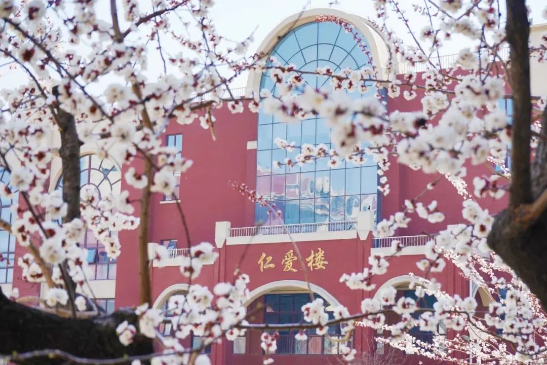 Ag亚洲集团(中国游)官方网站