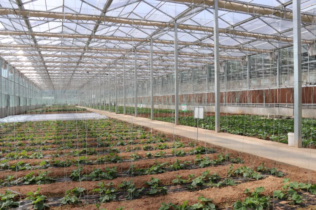 Ag亚洲集团(中国游)官方网站