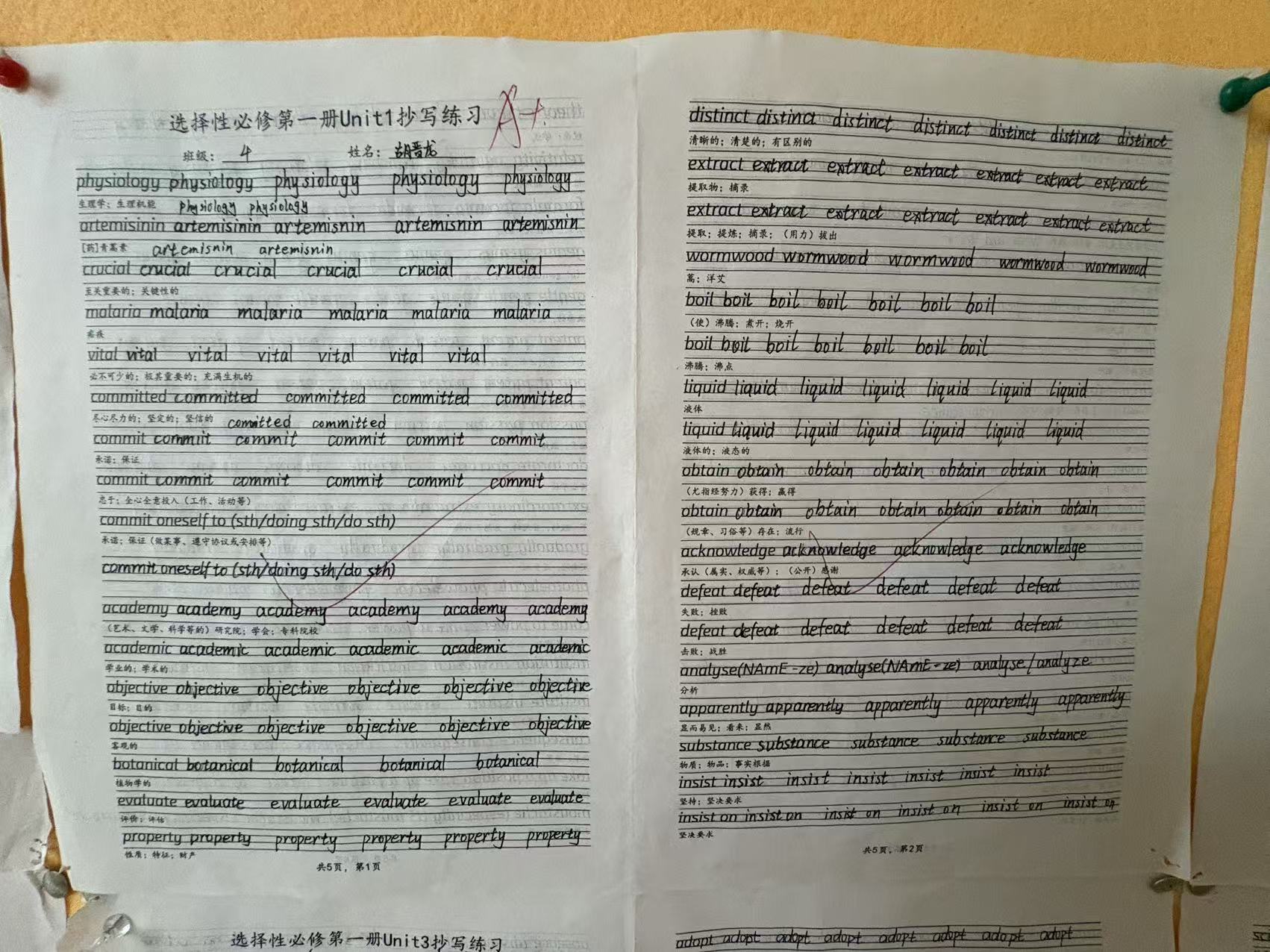 85ee356902fde1685fac3ad3d3dc0ae3 Ag亚洲集团(中国游)官方网站